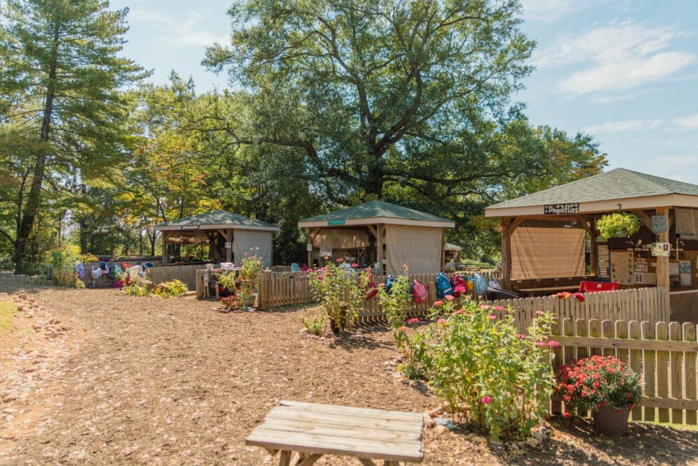 Outdoor classroom