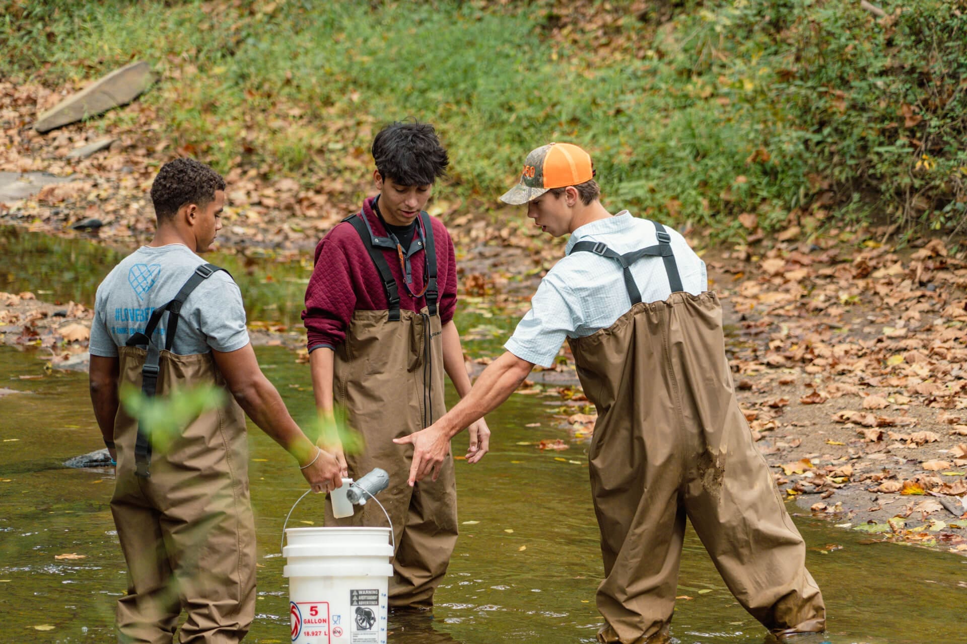 Three people wearing waders stand in a shallow stream. One holds a white bucket with equipment, while another gestures toward it. The background has greenery and fallen leaves along the water’s edge.